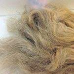 Unbehandelte Rohhaare, direkt vor Ort eingekauft. Die Haare sind graumeliert, dadurch lassen sie sich besonders schonend in helleren Tönen einfärben.